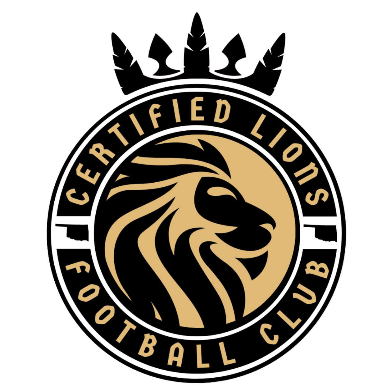 Certified Lions FC Store